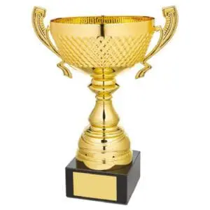 Cross Hatch Gold Presentation Cup With Handles