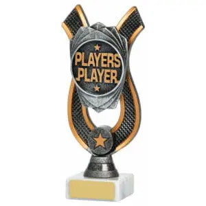 Antique Silver Players Player Award