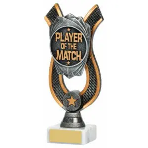 Antique Silver Player Of The Match Award