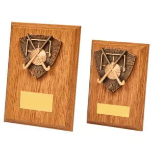 Wood Plaque With Gold Resin Hockey Trim