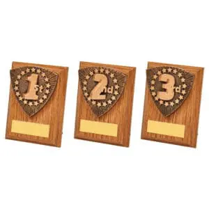 Wood Plaque With Resin Trim