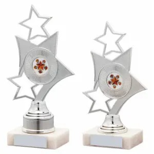 Silver Stars Trophy