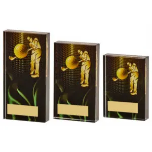 Male Golf Glass Award