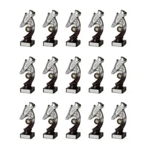 Football Squad Awards option 10